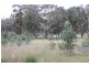 979 Four Mile Lane, Holbrook NSW 2644
