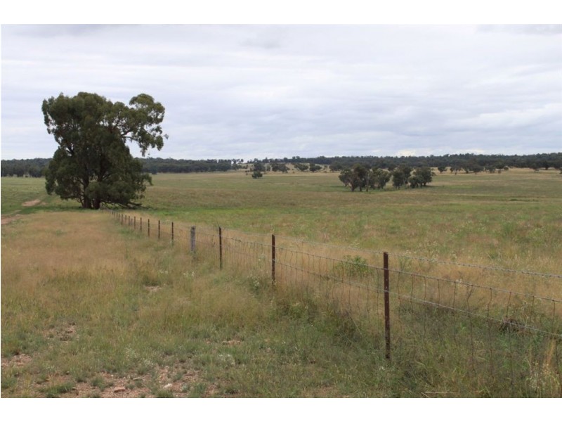 494 Yithan Road, Beckom NSW 2665