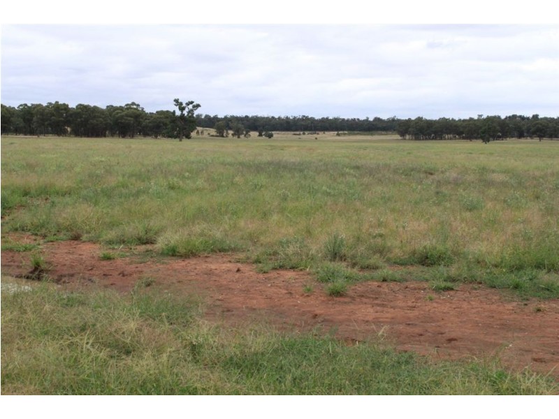 494 Yithan Road, Beckom NSW 2665