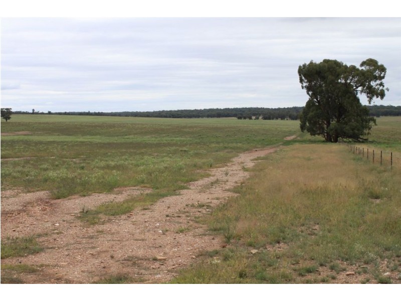 494 Yithan Road, Beckom NSW 2665