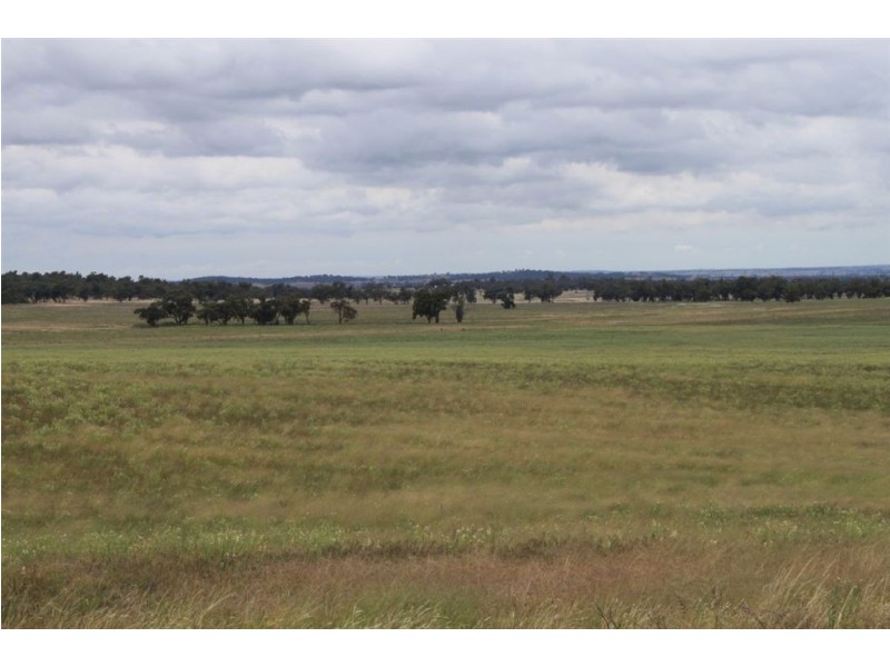 494 Yithan Road, Beckom NSW 2665