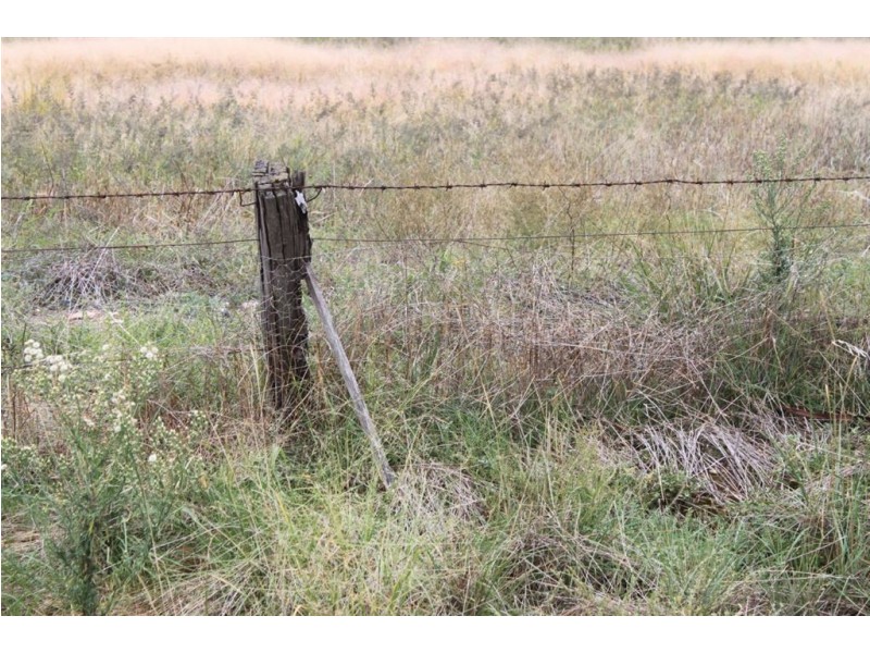 494 Yithan Road, Beckom NSW 2665