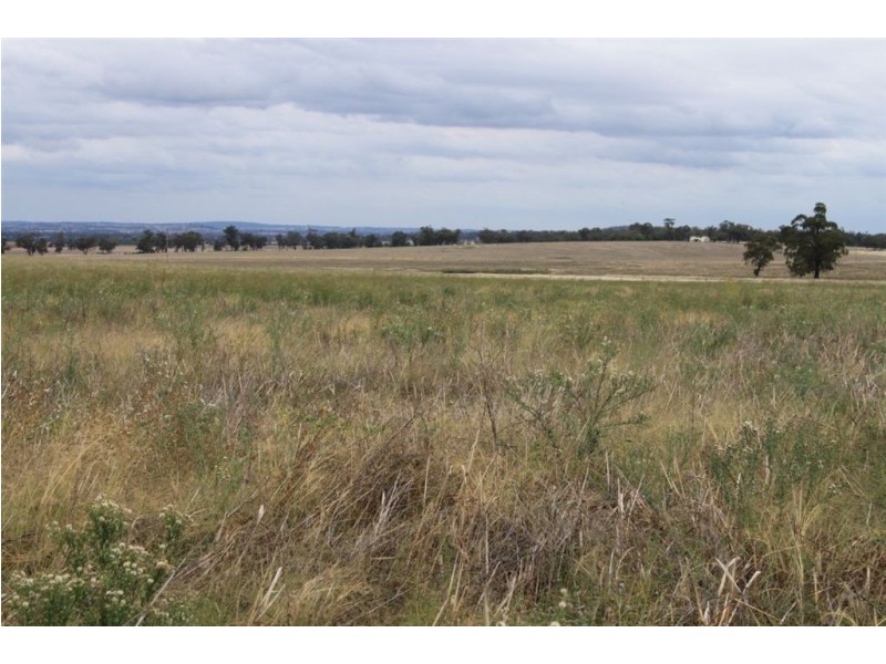 1610 Richards Lane, Beckom NSW 2665