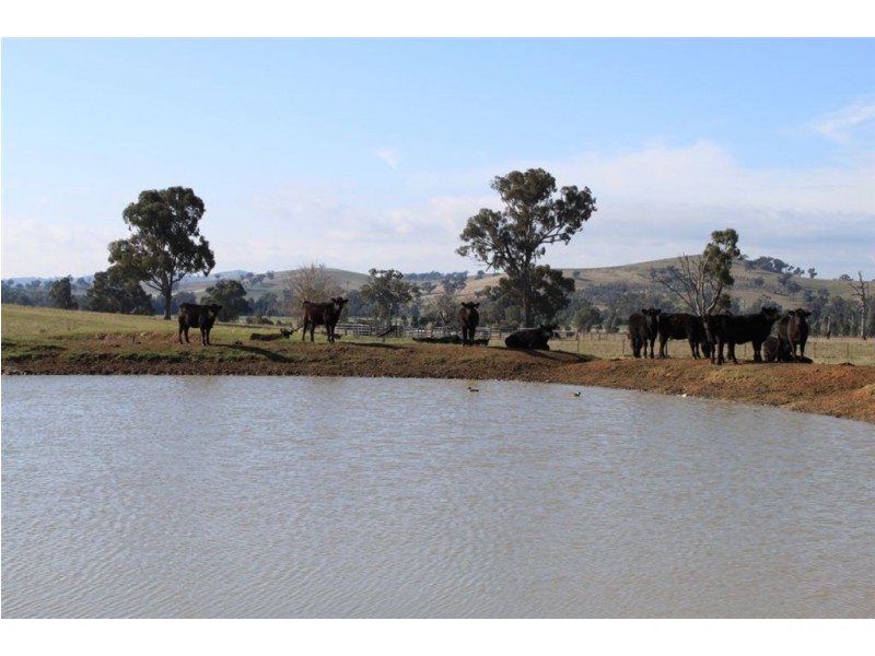 2181 Sturt Highway, Wagga Wagga NSW 2650