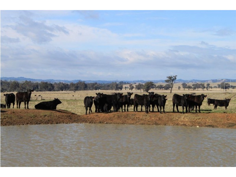 2181 Sturt Highway, Wagga Wagga NSW 2650