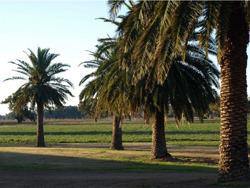 92 Millers Lane, Wagga Wagga NSW 2650