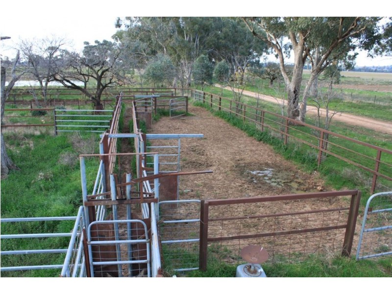 70 Klimpsch’s Lane, Mangoplah NSW 2652