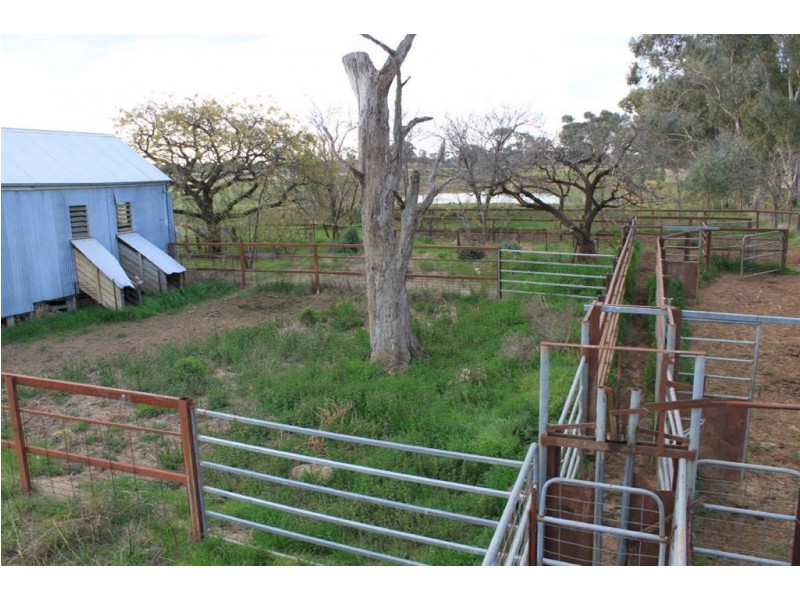 70 Klimpsch’s Lane, Mangoplah NSW 2652