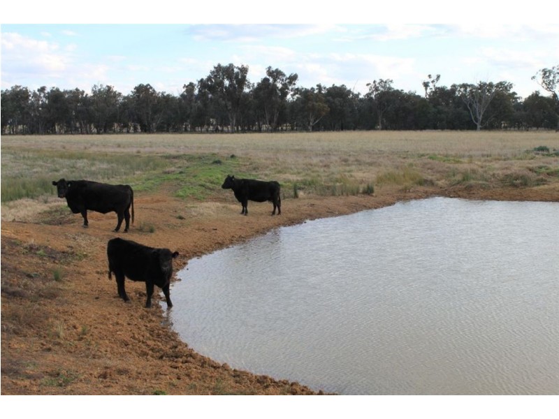 70 Klimpsch’s Lane, Mangoplah NSW 2652