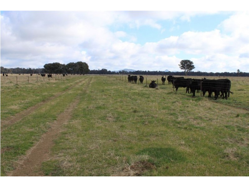 70 Klimpsch’s Lane, Mangoplah NSW 2652