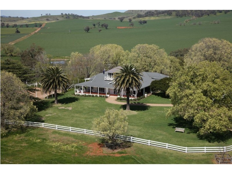 . Billabong Station, Eurongilly Valley, Nangus NSW 2722