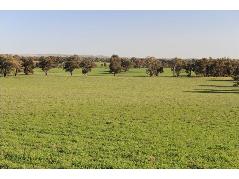 . Billabong Station, Eurongilly Valley, Nangus NSW 2722