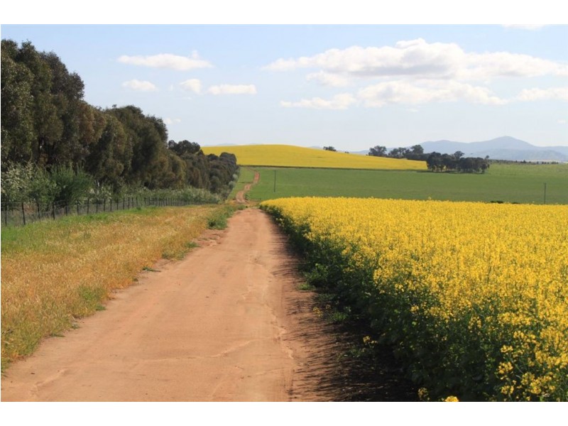 . Billabong Station, Eurongilly Valley, Nangus NSW 2722