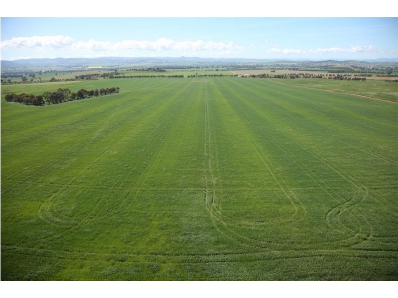 . Billabong Station, Eurongilly Valley, Nangus NSW 2722