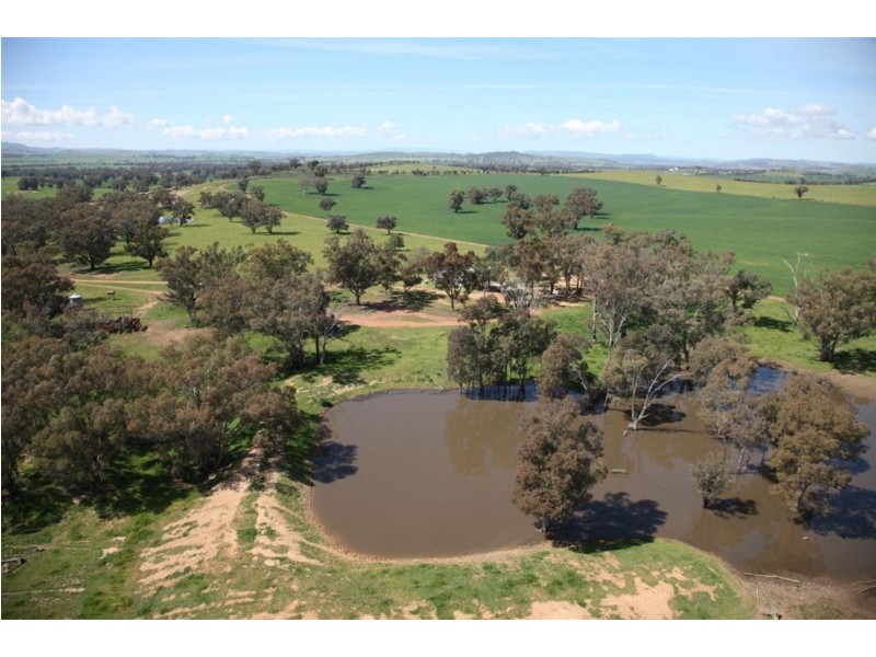 . Billabong Station, Eurongilly Valley, Nangus NSW 2722