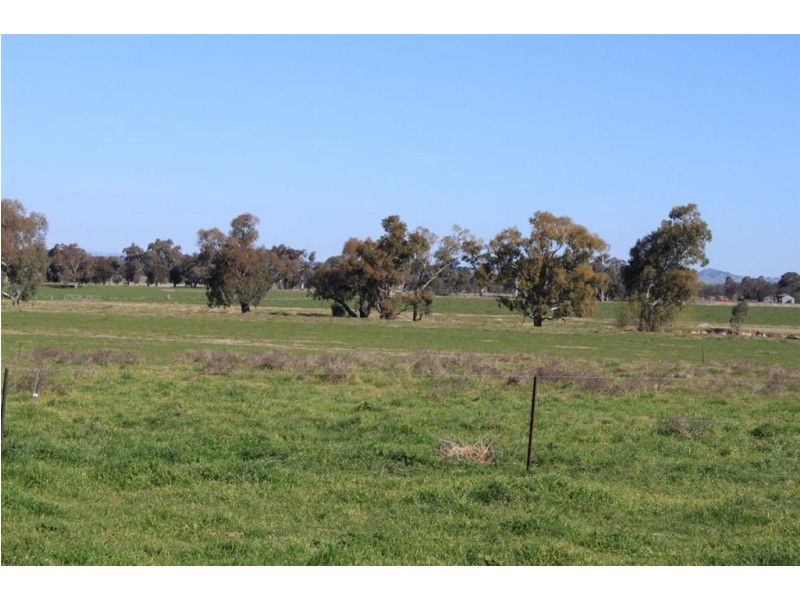 467 Gregadoo Ladysmith Road, Wagga Wagga NSW 2650