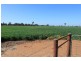 Eureka Farming, Ardlethan Road, Coolamon NSW 2701