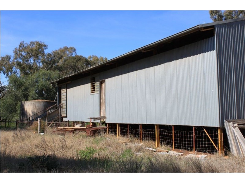 549 Greenvale-Narrandera Road, Boree Creek NSW 2652
