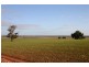 Currawarna NSW 2650