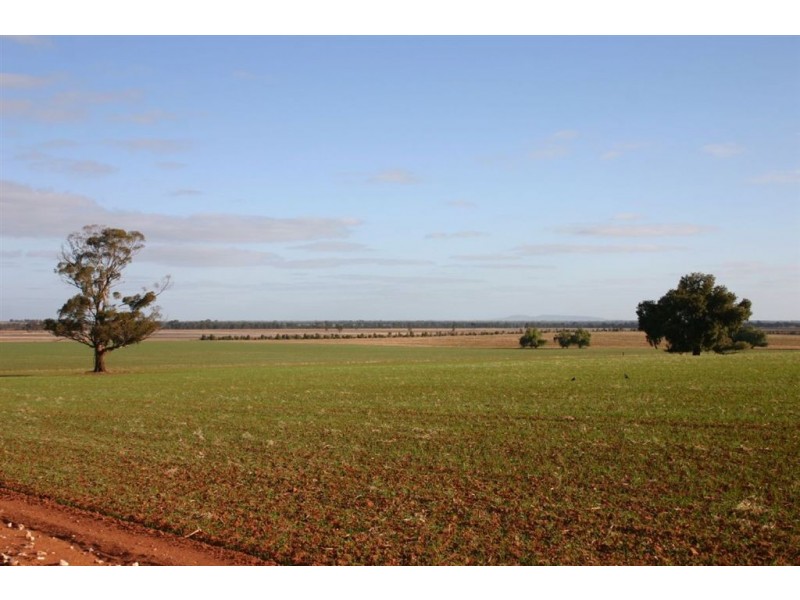 Currawarna NSW 2650