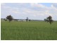 RMB 107 Pikedale Road, Old Junee NSW 2652