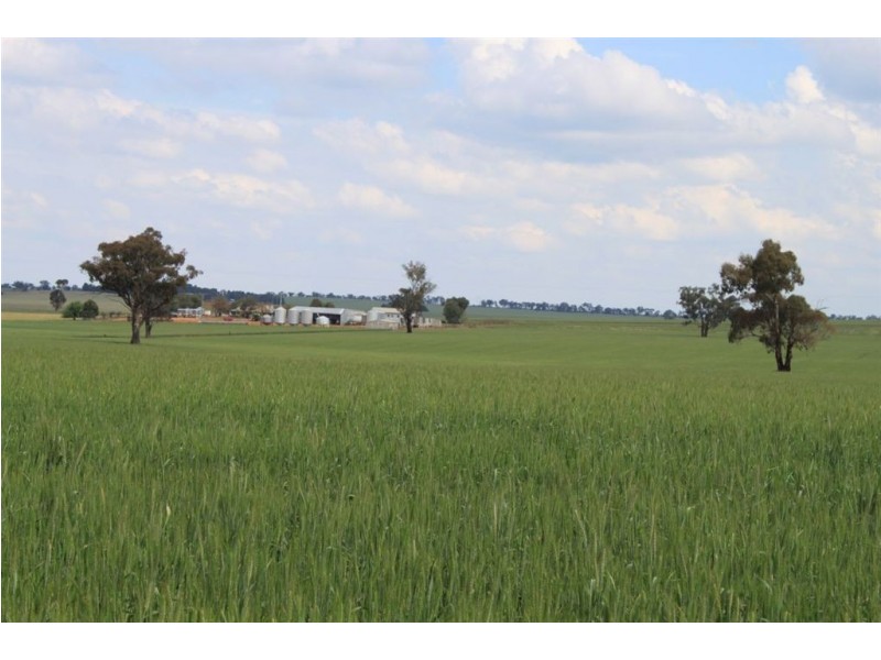 RMB 107 Pikedale Road, Old Junee NSW 2652