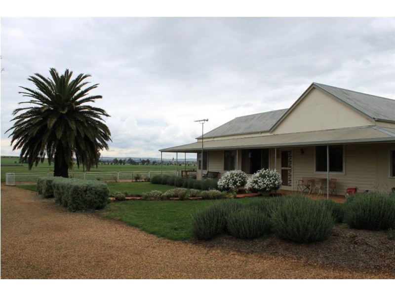 RMB 107 Pikedale Road, Old Junee NSW 2652