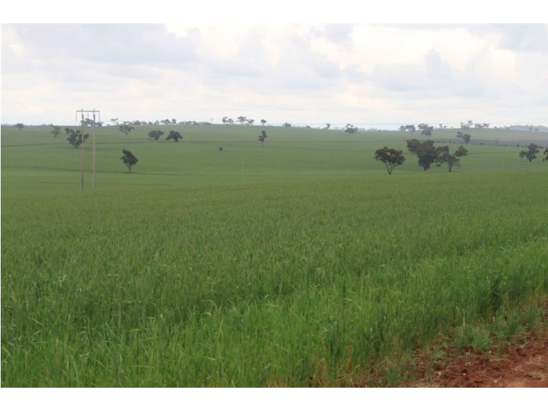 RMB 107 Pikedale Road, Old Junee NSW 2652