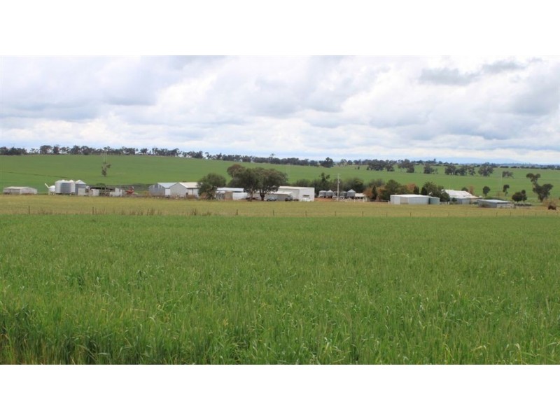 RMB 107 Pikedale Road, Old Junee NSW 2652