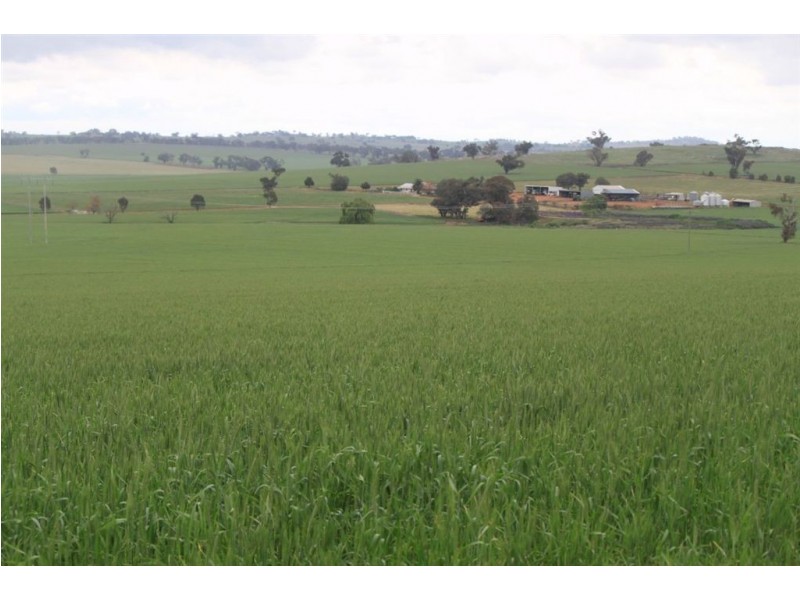 RMB 107 Pikedale Road, Old Junee NSW 2652