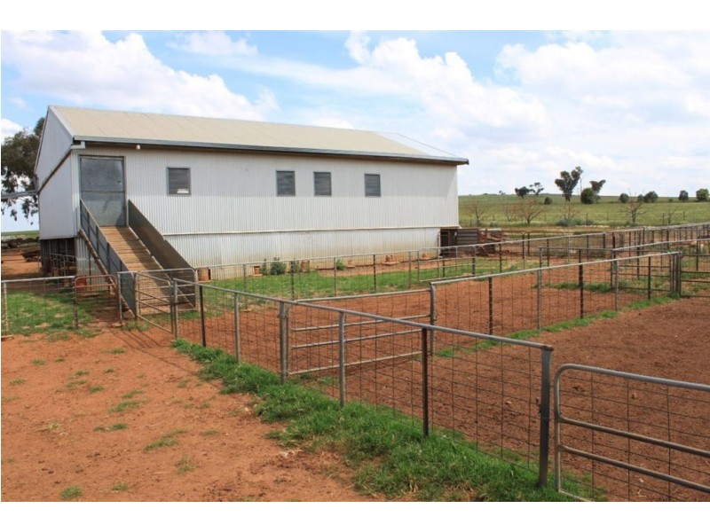 RMB 107 Pikedale Road, Old Junee NSW 2652