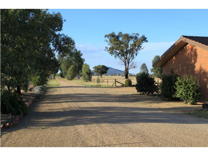 Pretty Valley Homestead, The Rock NSW 2655