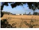 Pretty Valley Homestead, The Rock NSW 2655