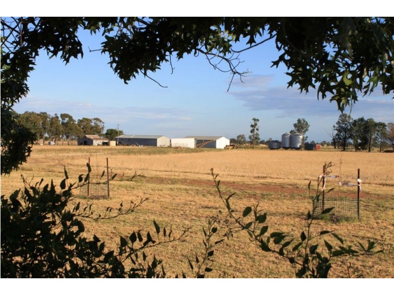 Pretty Valley Homestead, The Rock NSW 2655