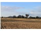 Pretty Valley Homestead, The Rock NSW 2655