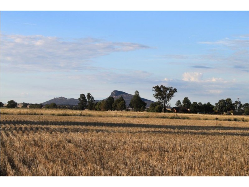 Pretty Valley Homestead, The Rock NSW 2655