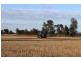 Pretty Valley Homestead, The Rock NSW 2655