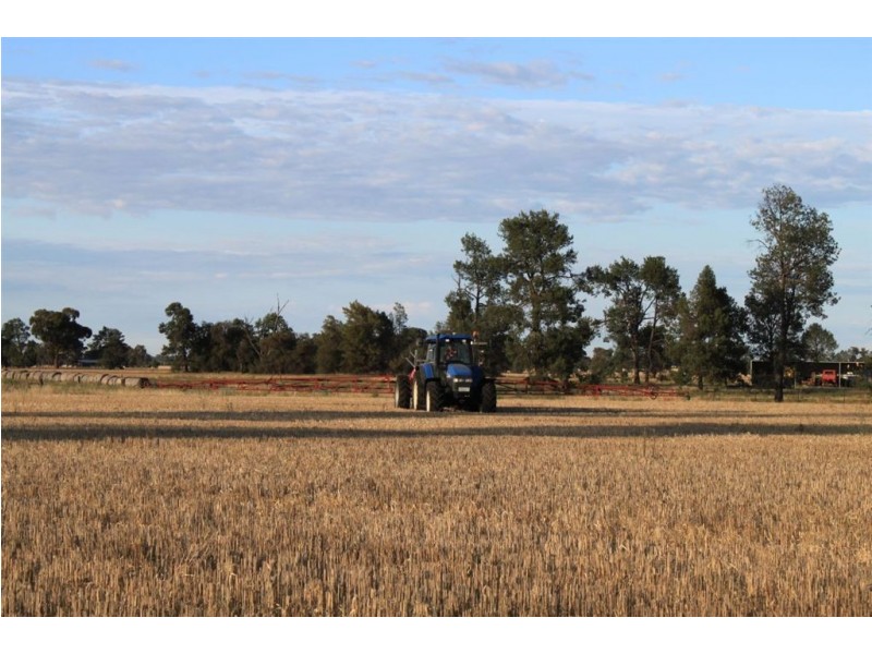 Pretty Valley Homestead, The Rock NSW 2655