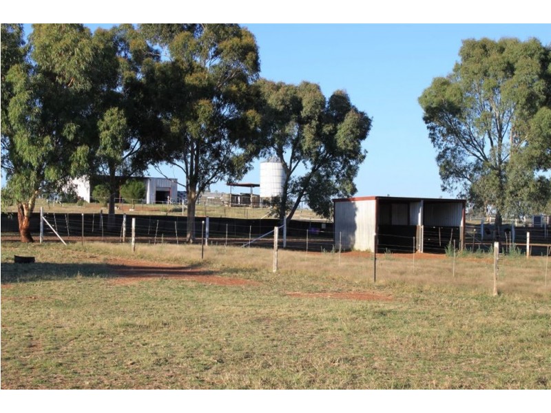 Impact Park, Stanyer Road, Illabo NSW 2590
