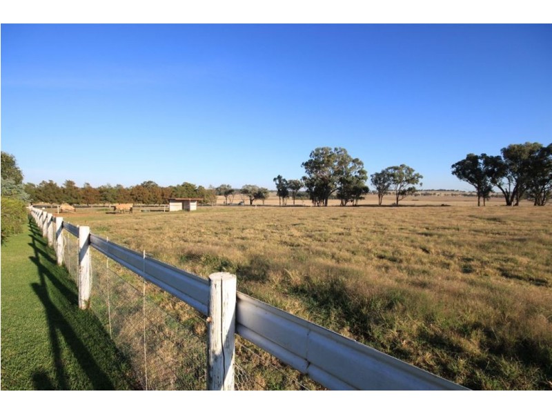 Impact Park, Stanyer Road, Illabo NSW 2590