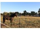 Impact Park, Stanyer Road, Illabo NSW 2590