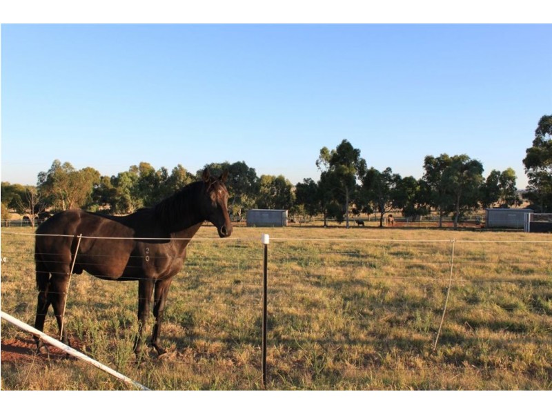 Impact Park, Stanyer Road, Illabo NSW 2590