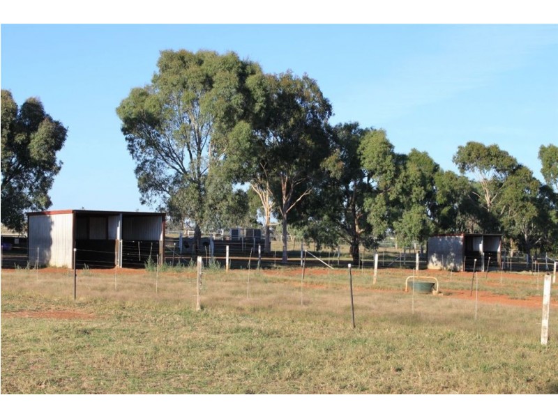 Impact Park, Stanyer Road, Illabo NSW 2590