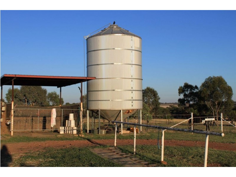 Impact Park, Stanyer Road, Illabo NSW 2590