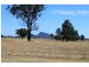 The Rock NSW 2655