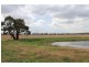 79 Aerodrome Lane, Junee NSW 2663