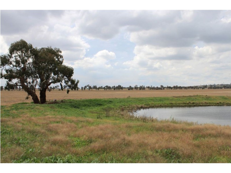 79 Aerodrome Lane, Junee NSW 2663