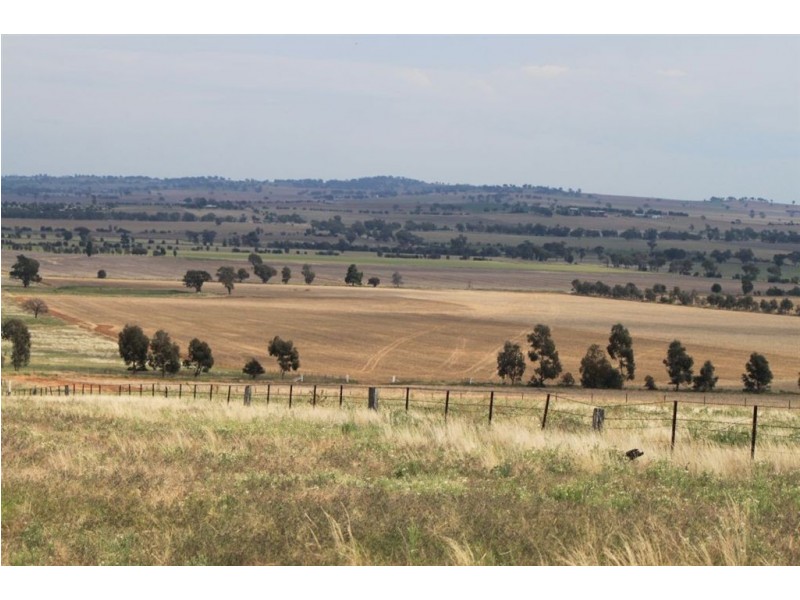 79 Aerodrome Lane, Junee NSW 2663