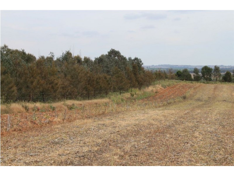 79 Aerodrome Lane, Junee NSW 2663