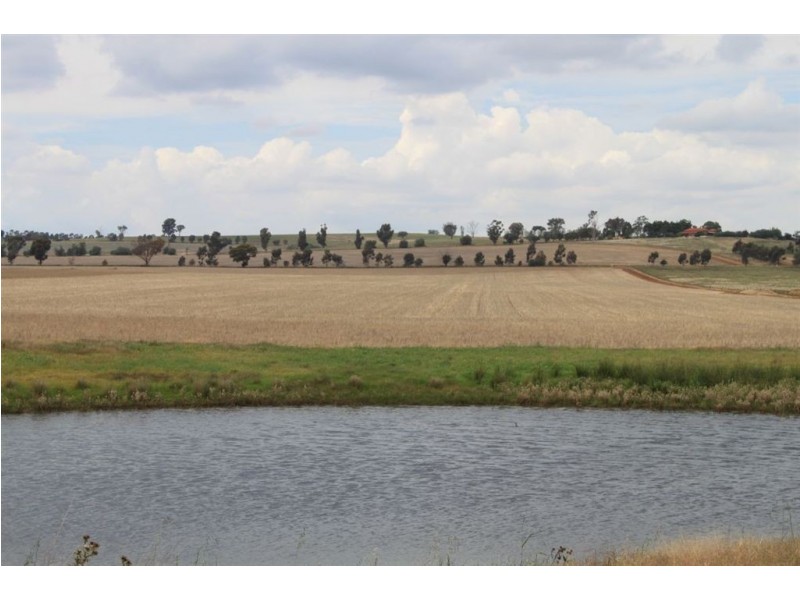 79 Aerodrome Lane, Junee NSW 2663